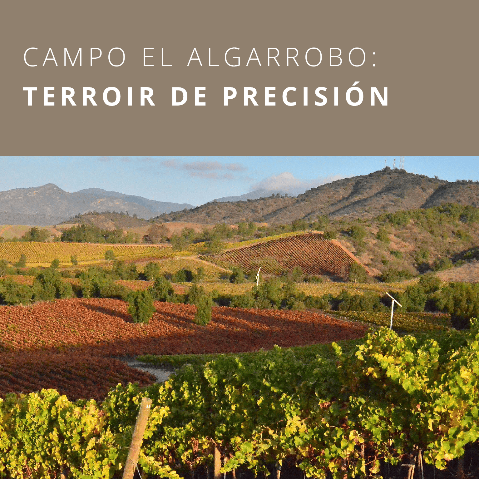 News_Latters-Espa%C3%B1ol_%281%29