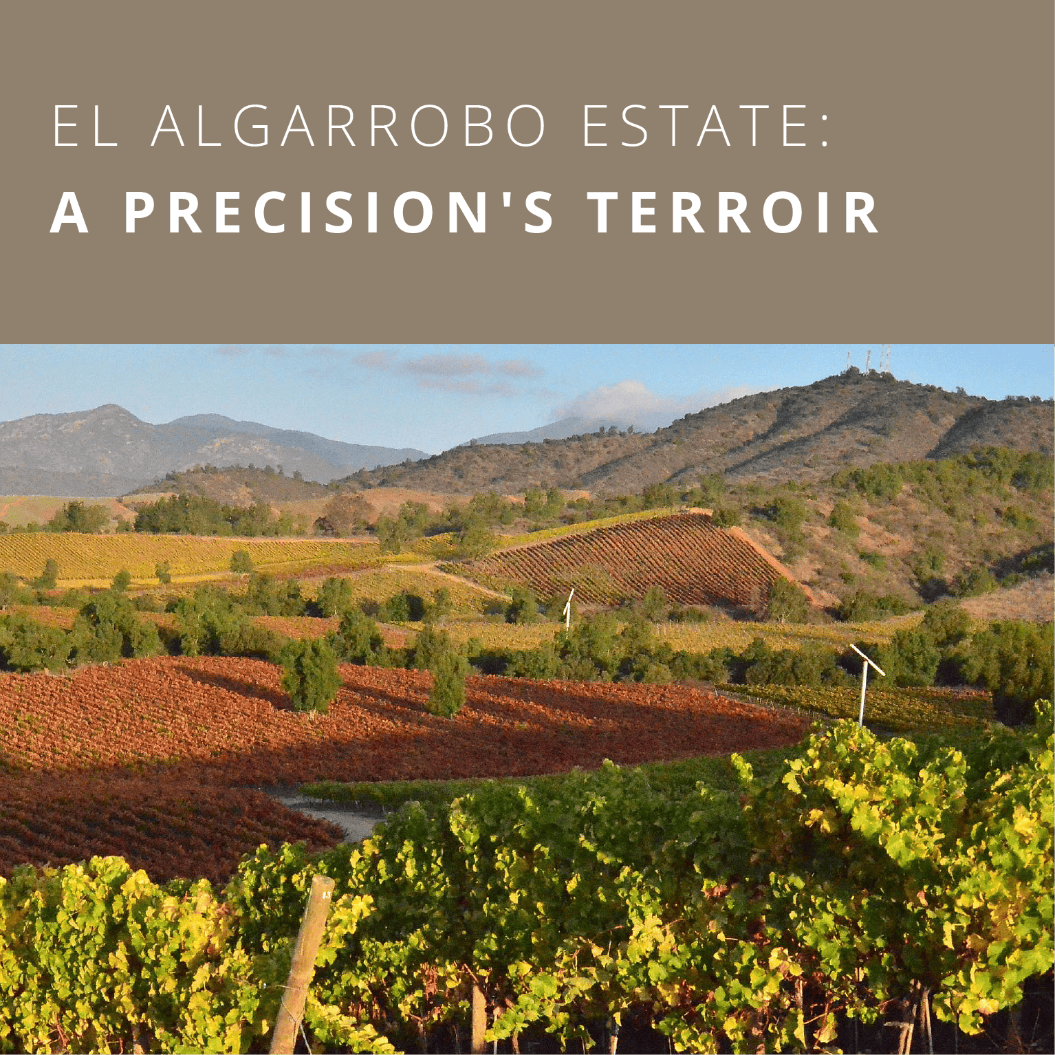 News_Latters-Ingles_%281%29_%281%29