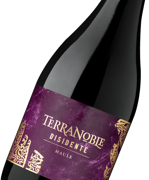 Carignan - Mourvedre - Garnacha