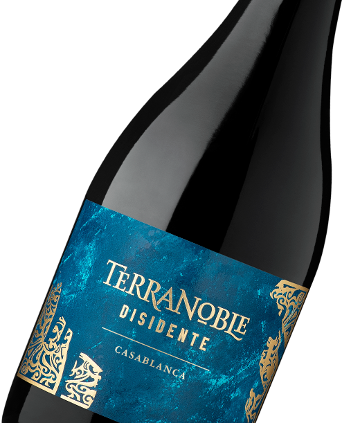 Syrah - Tempranillo